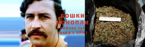 spice Володарск