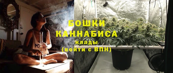 spice Володарск