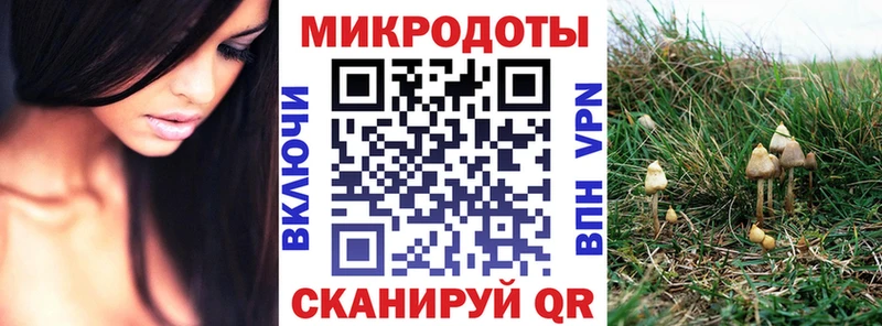 Галлюциногенные грибы ЛСД  Владикавказ 