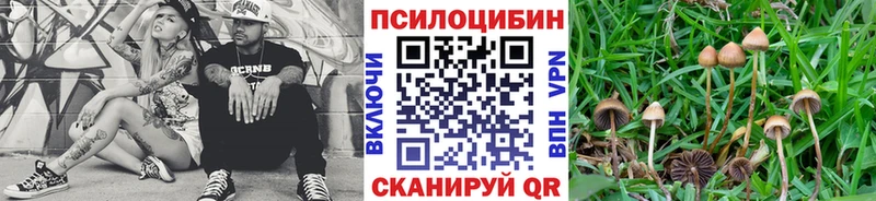Галлюциногенные грибы Cubensis Владикавказ